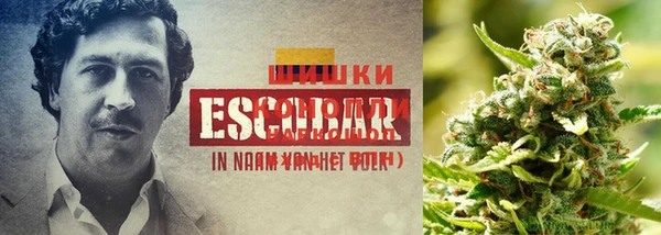 бутират Балахна